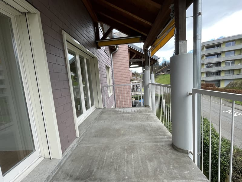 3 ½ Zimmer-Wohnung, 6006 Luzern (8)