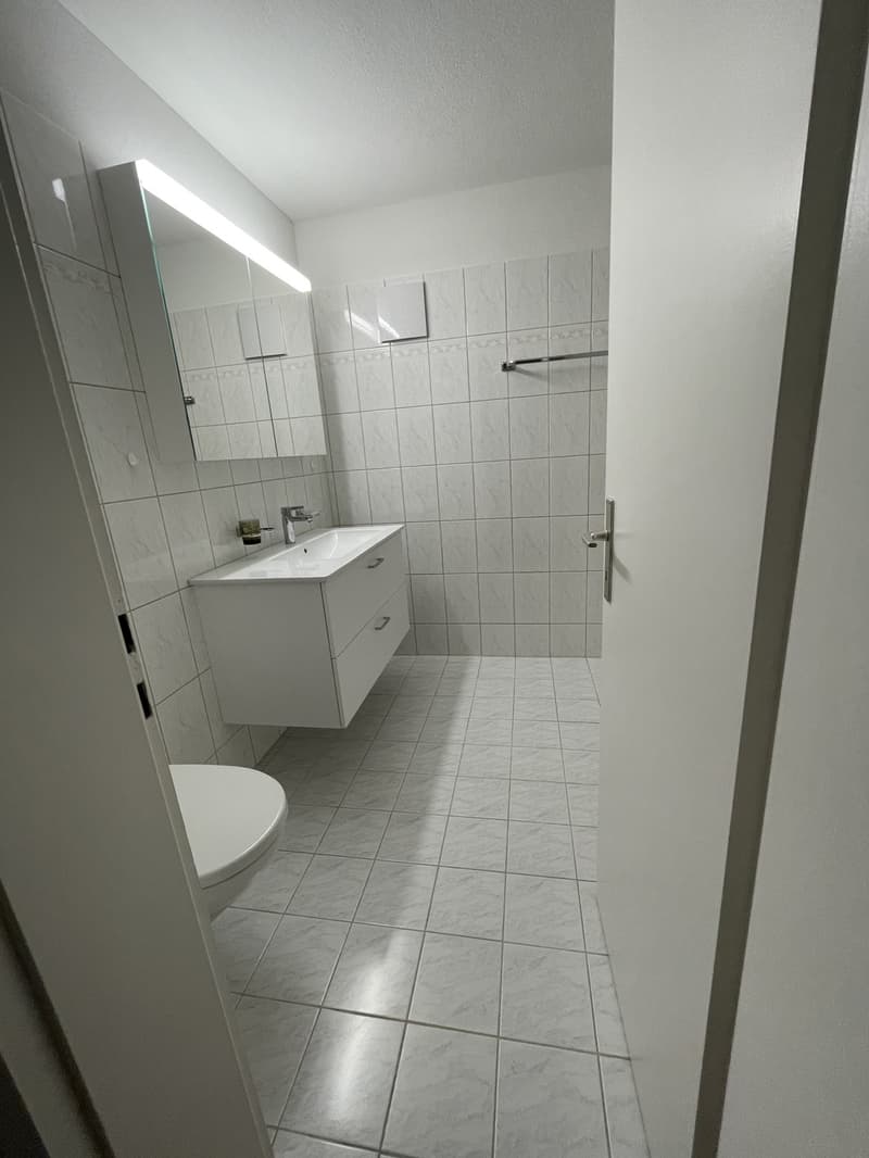 3 ½ Zimmer-Wohnung, 6006 Luzern (5)