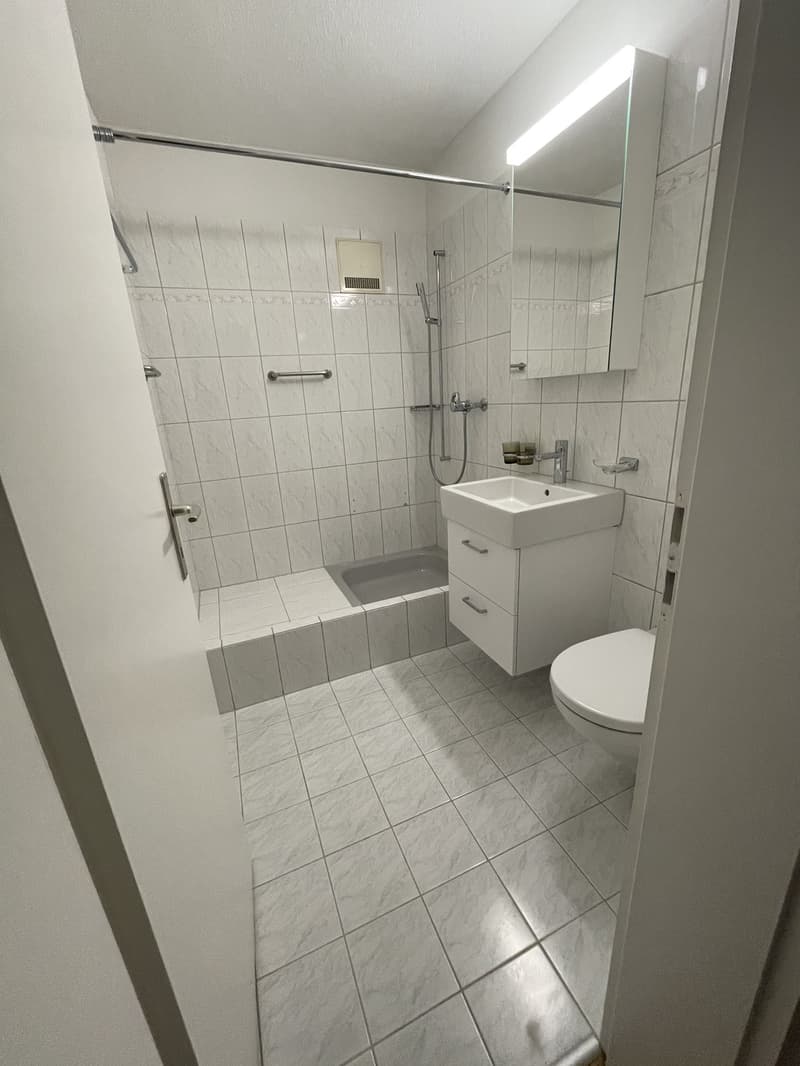 3 ½ Zimmer-Wohnung, 6006 Luzern (7)