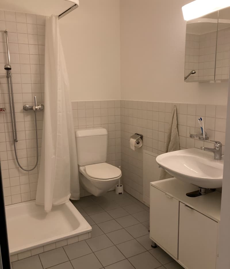 1,5 Zimmer Studio (3)