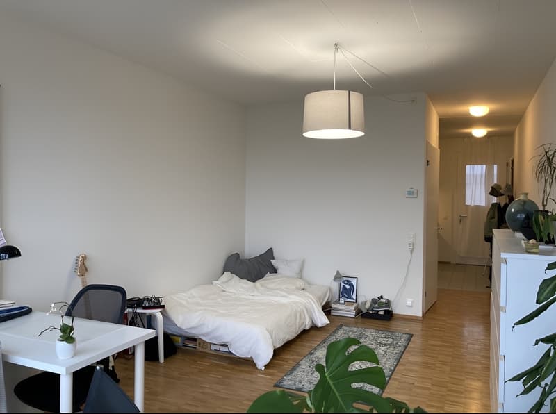 1,5 Zimmer Studio (2)