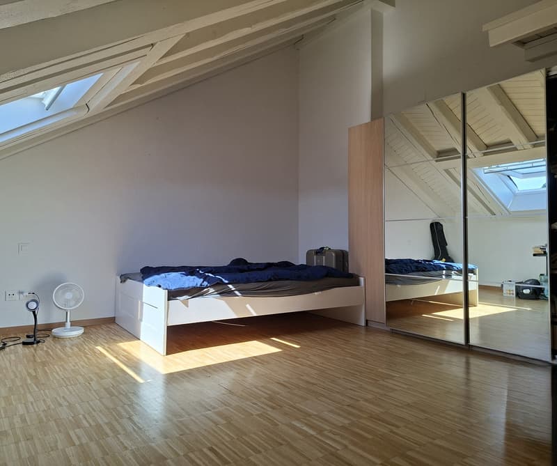 WG Zimmer Volketswil (2)