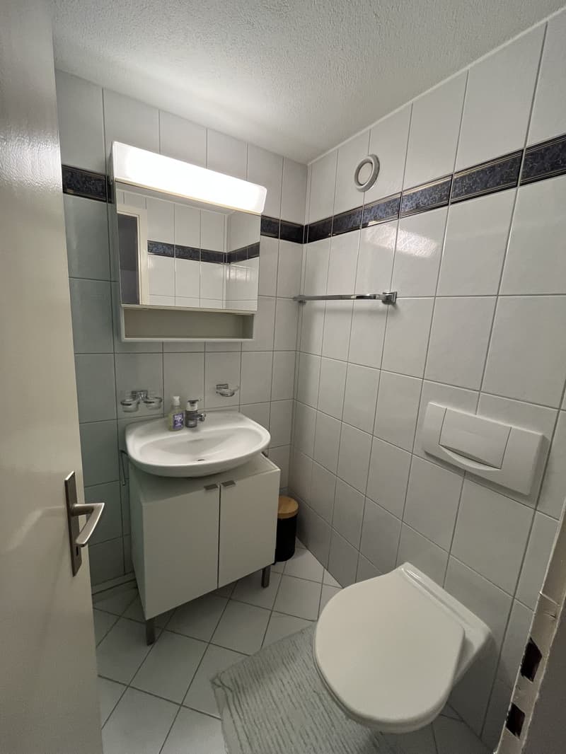 Room in a Spacious Apartment in Zurich Available for 4 to 6 Months (9)
