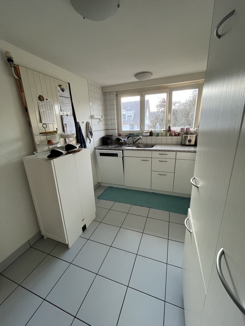 Room in a Spacious Apartment in Zurich Available for 4 to 6 Months (13)