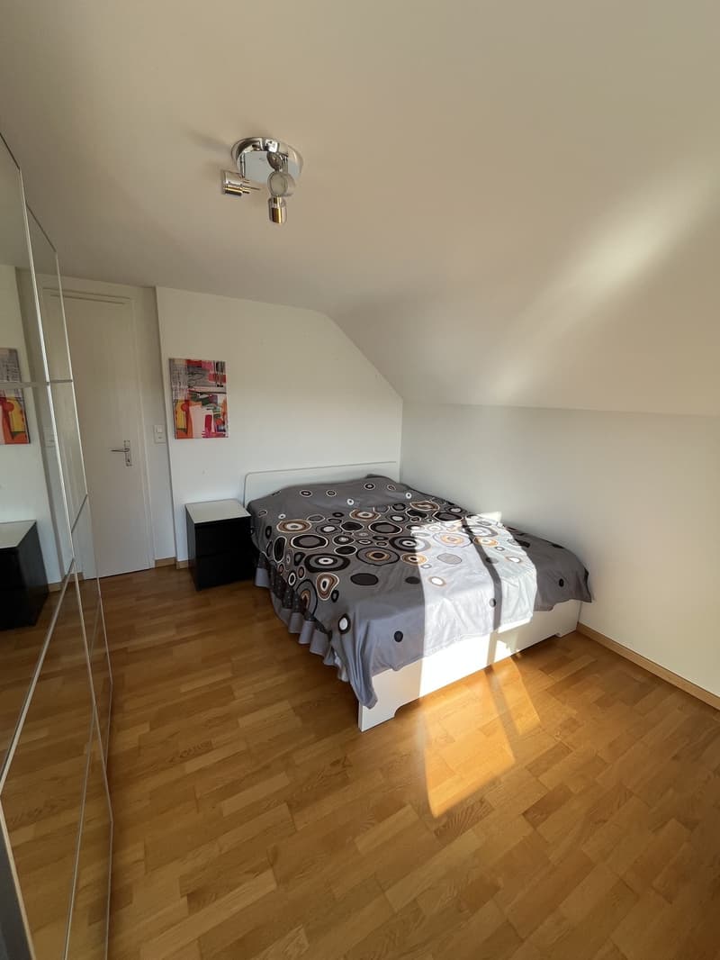 Room in a Spacious Apartment in Zurich Available for 4 to 6 Months (2)