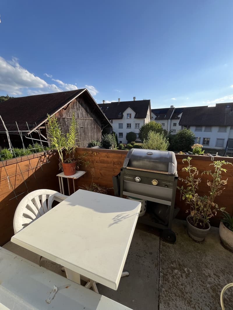 Room in a Spacious Apartment in Zurich Available for 4 to 6 Months (5)