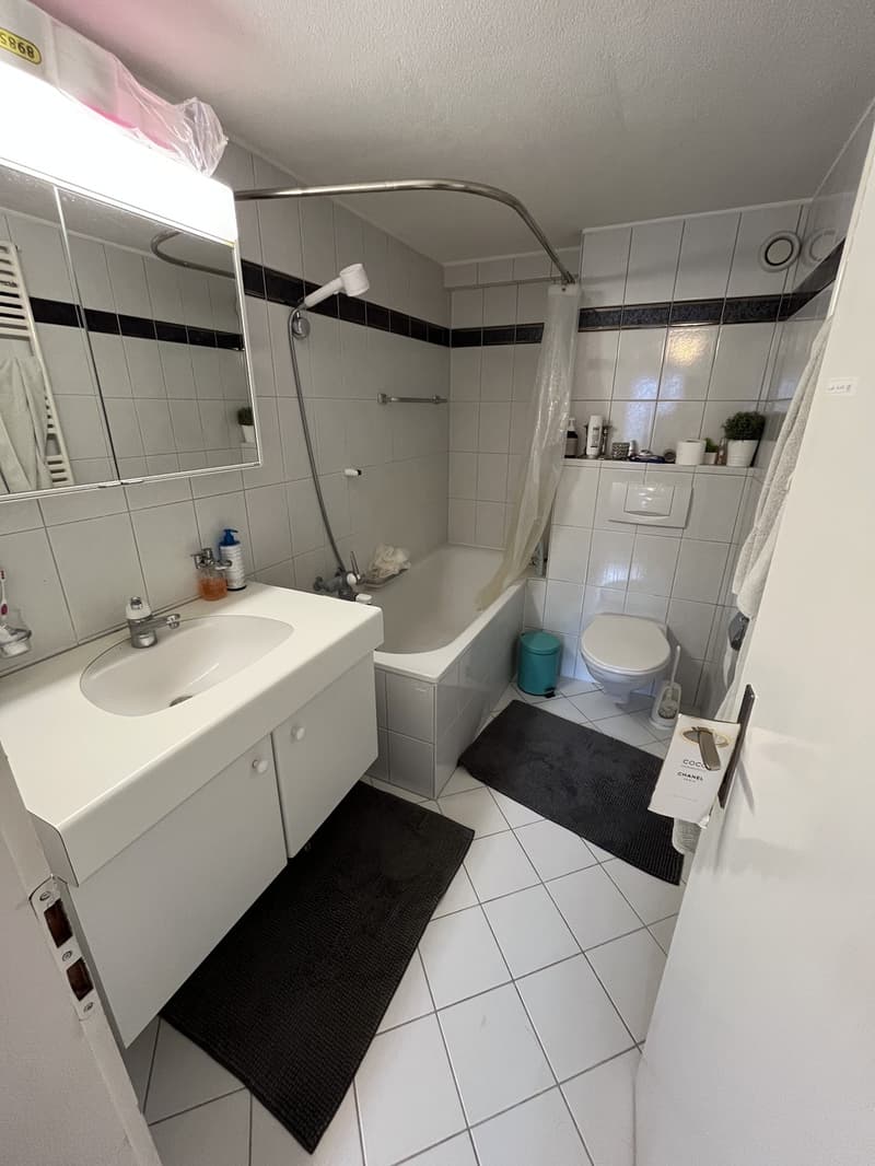 Room in a Spacious Apartment in Zurich Available for 4 to 6 Months (11)