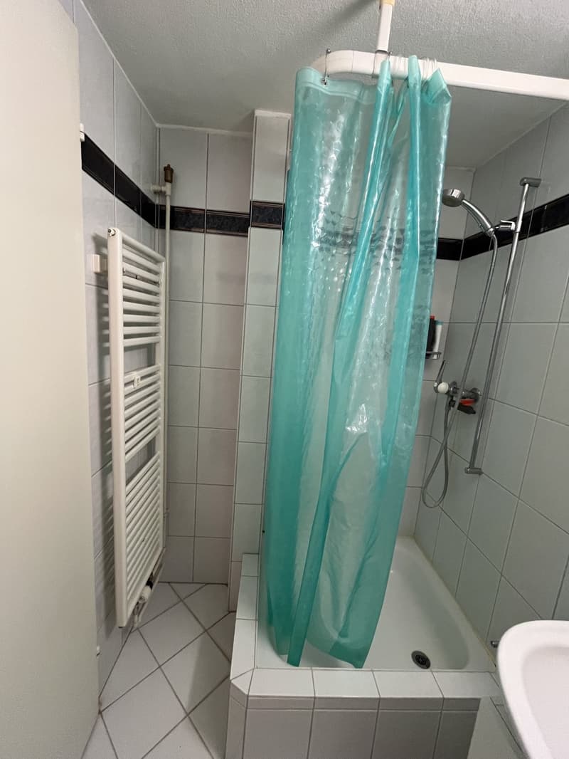 Room in a Spacious Apartment in Zurich Available for 4 to 6 Months (10)