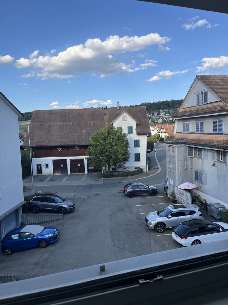 Room in a Spacious Apartment in Zurich Available for 4 to 6 Months (8)