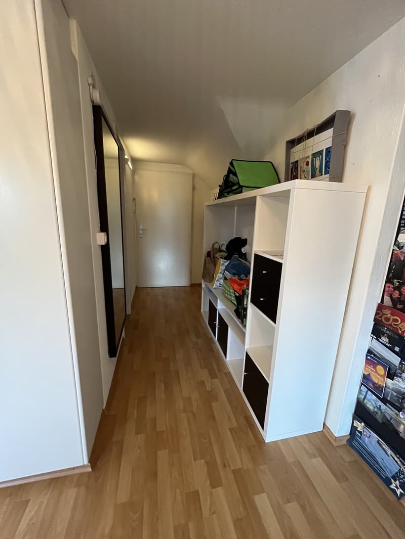 Room in a Spacious Apartment in Zurich Available for 4 to 6 Months (7)