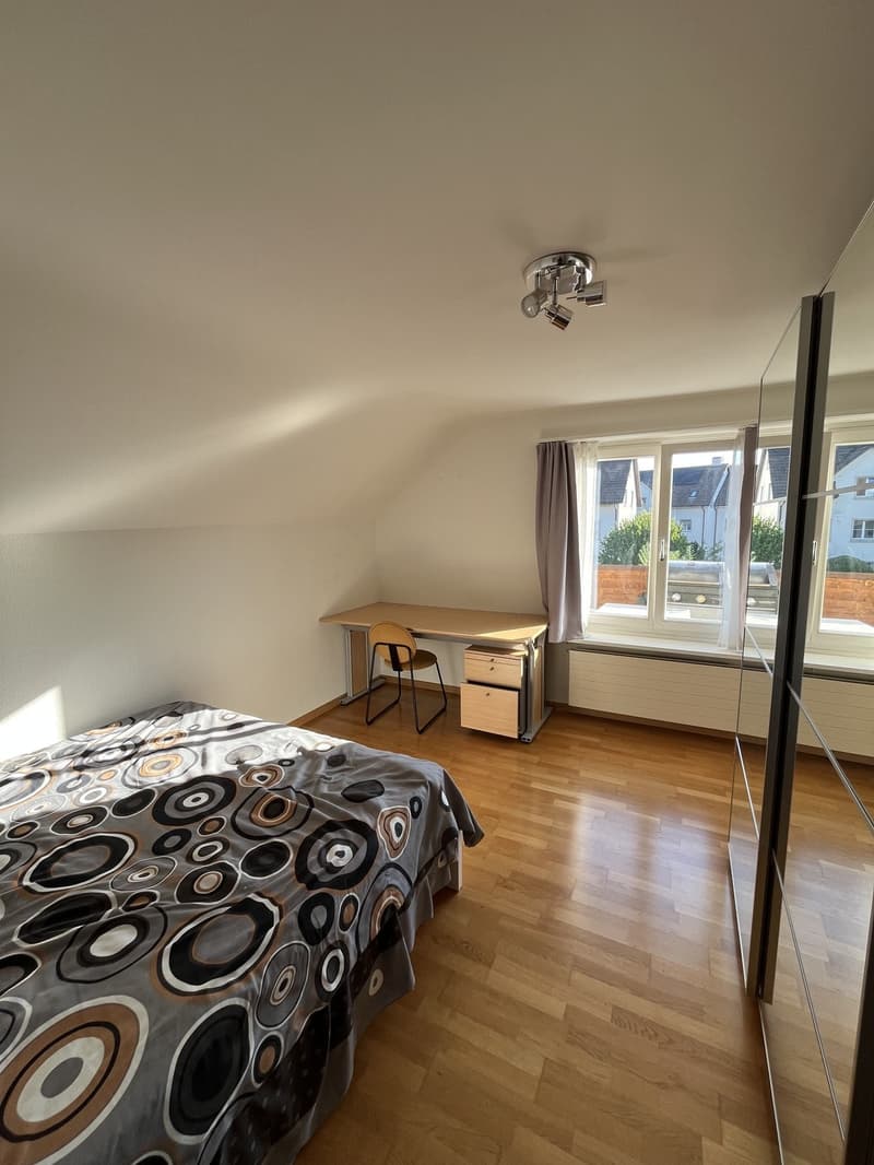 Room in a Spacious Apartment in Zurich Available for 4 to 6 Months (1)