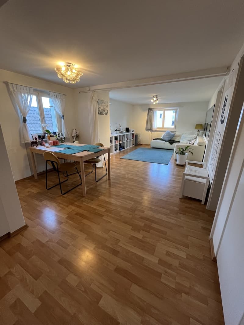Room in a Spacious Apartment in Zurich Available for 4 to 6 Months (6)