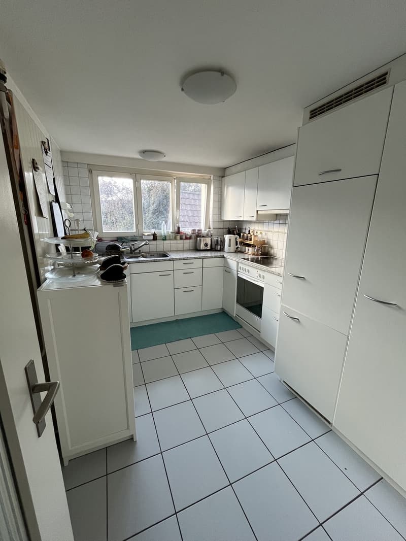 Room in a Spacious Apartment in Zurich Available for 4 to 6 Months (12)