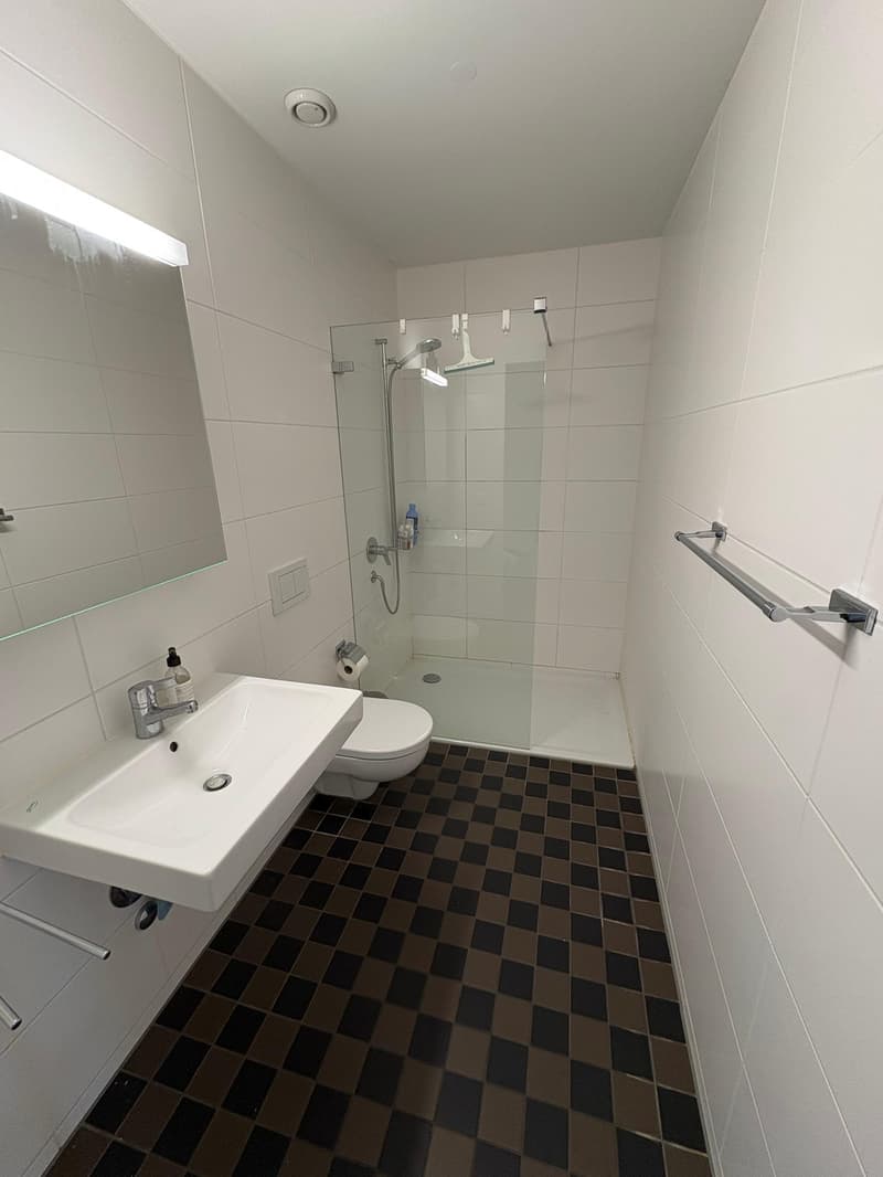 Room in shared apartment, Turbinenstrasse 31 (12)