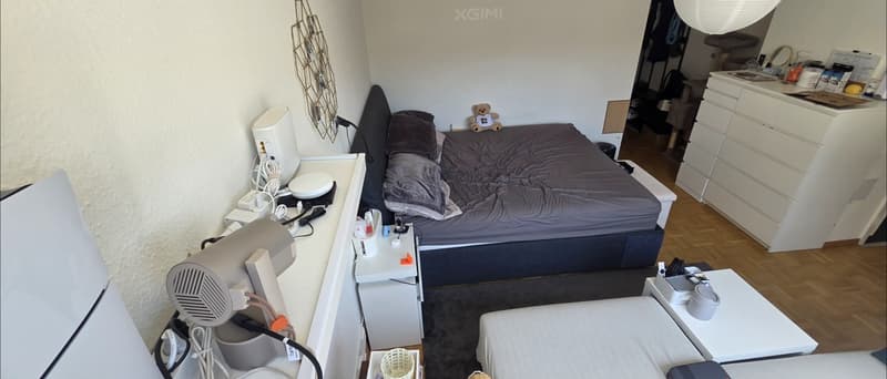 Superbe appartement lumineux au cur de Carouge  Reprise de bail (4)