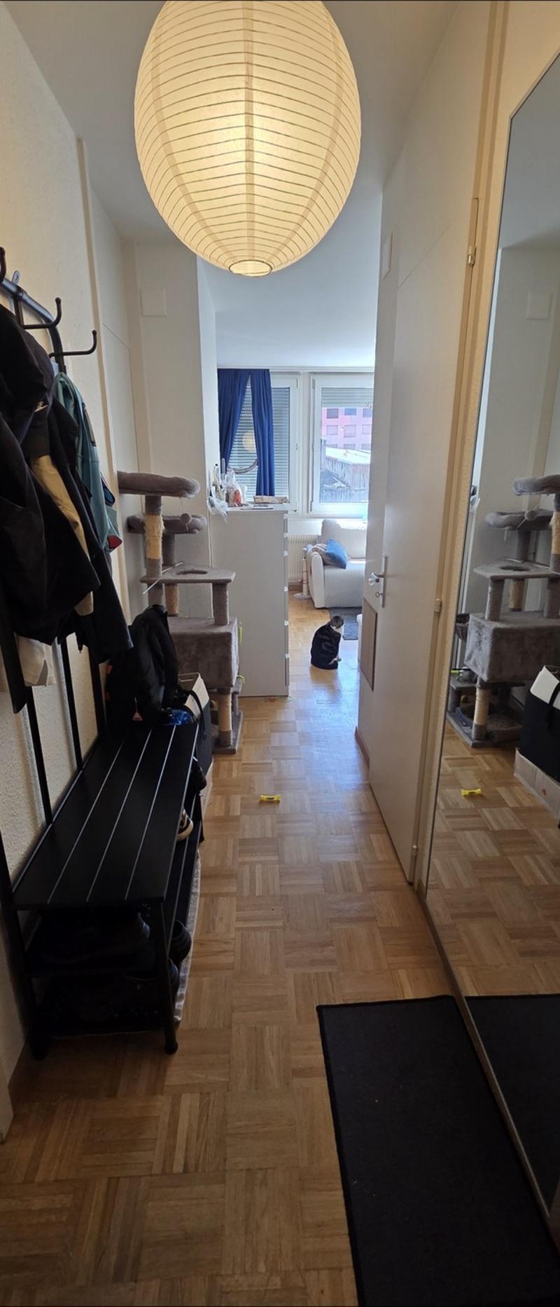 Superbe appartement lumineux au cur de Carouge  Reprise de bail (13)