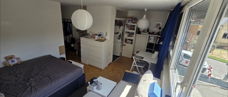Superbe appartement lumineux au cur de Carouge  Reprise de bail (5)