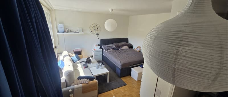 Superbe appartement lumineux au cur de Carouge  Reprise de bail (2)