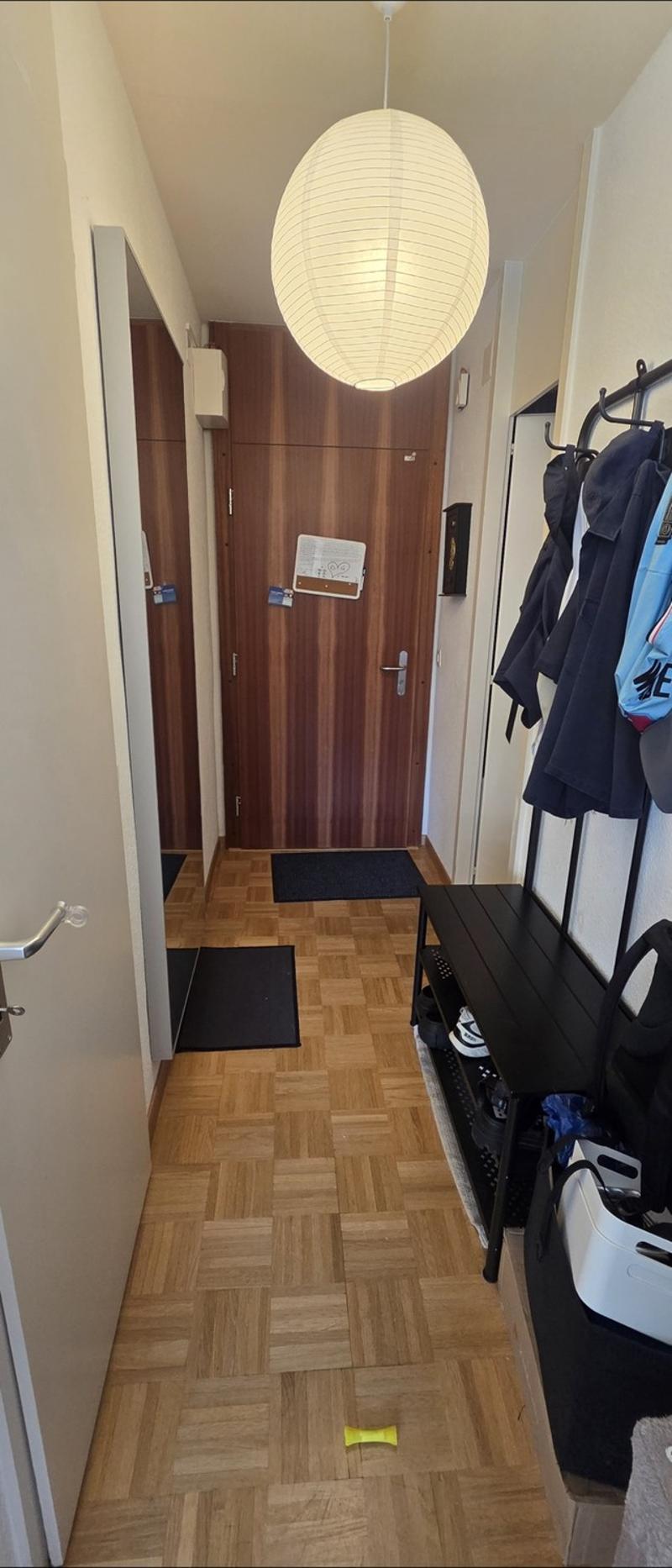 Superbe appartement lumineux au cur de Carouge  Reprise de bail (12)