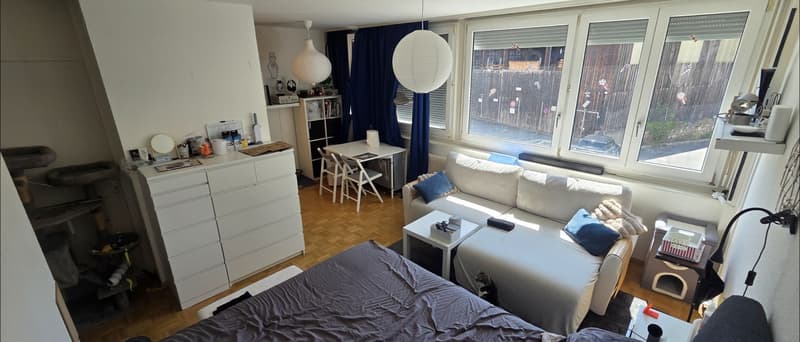 Superbe appartement lumineux au cur de Carouge  Reprise de bail (3)