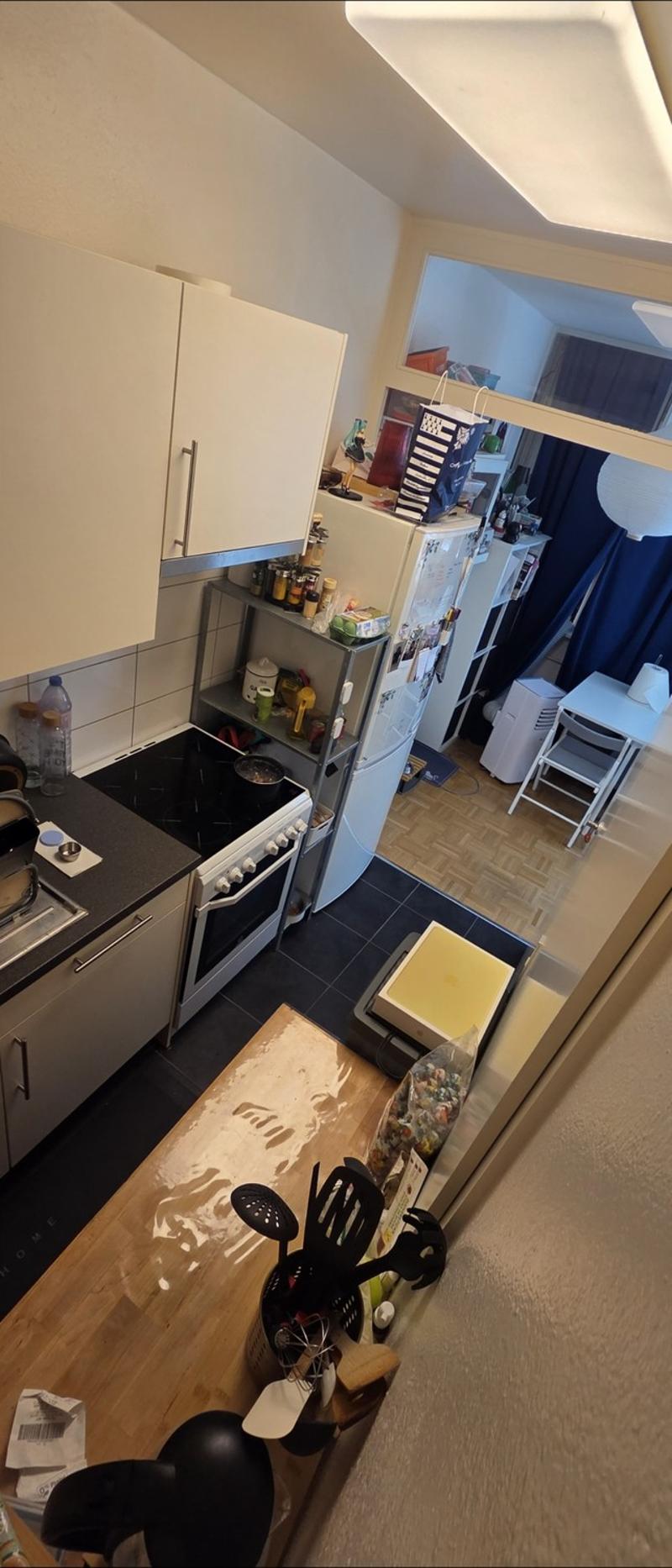 Superbe appartement lumineux au cur de Carouge  Reprise de bail (8)