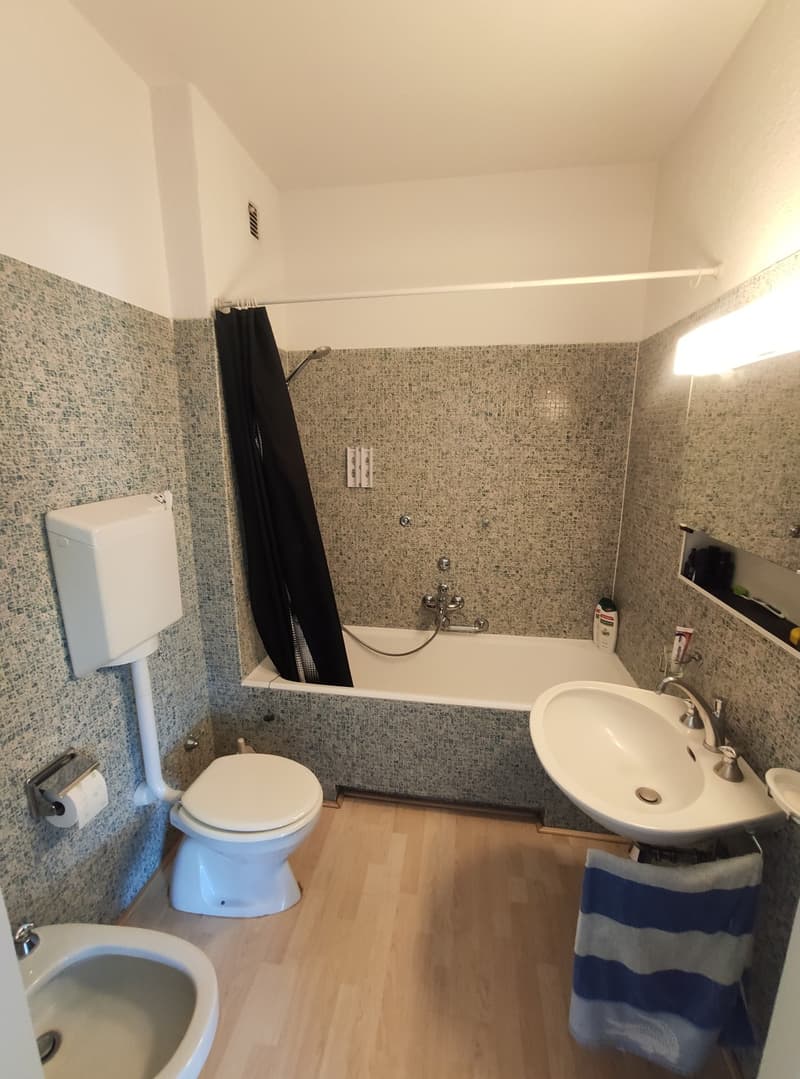 Appartamento 1.5 con piscina e vicino la stazione di Lugano (5)