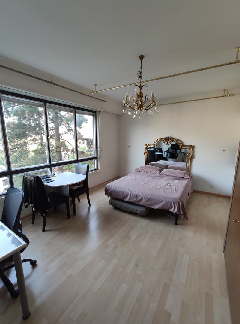 Appartamento 1.5 con piscina e vicino la stazione di Lugano (2)