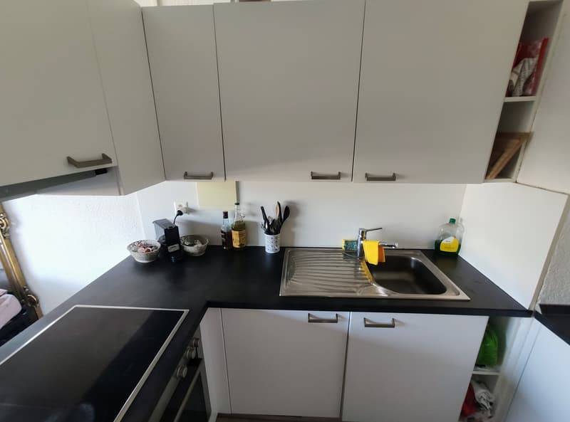 Appartamento 1.5 con piscina e vicino la stazione di Lugano (6)
