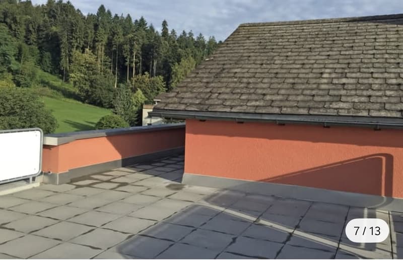 Wunderschöne Maisonettewohnung mit traumhafter Dachterrasse in Spreitenbach (11)