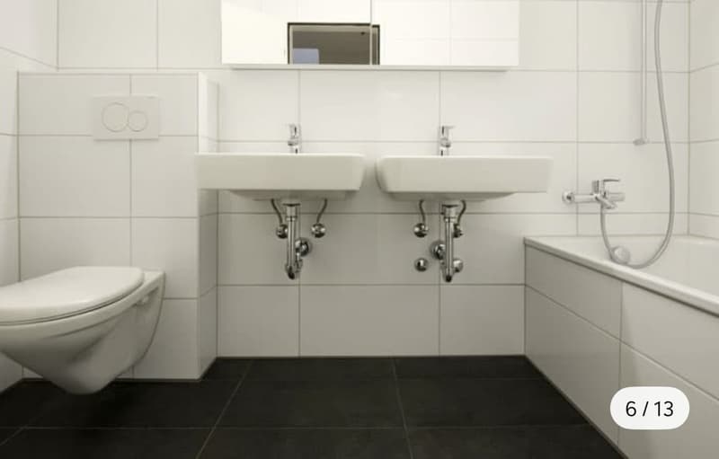 Wunderschöne Maisonettewohnung mit traumhafter Dachterrasse in Spreitenbach (5)