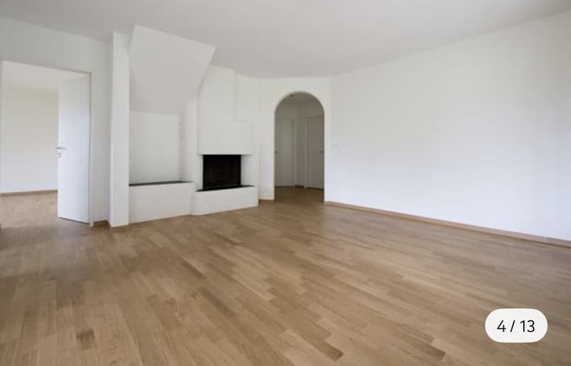 Wunderschöne Maisonettewohnung mit traumhafter Dachterrasse in Spreitenbach (4)