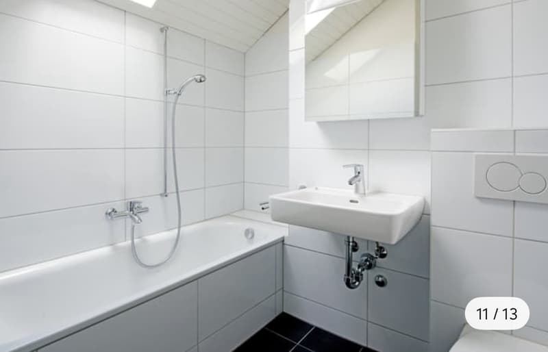 Wunderschöne Maisonettewohnung mit traumhafter Dachterrasse in Spreitenbach (3)