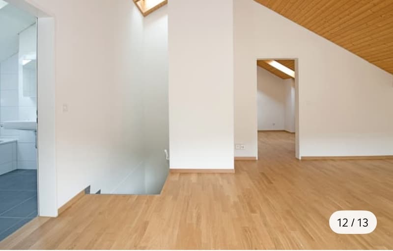 Wunderschöne Maisonettewohnung mit traumhafter Dachterrasse in Spreitenbach (9)