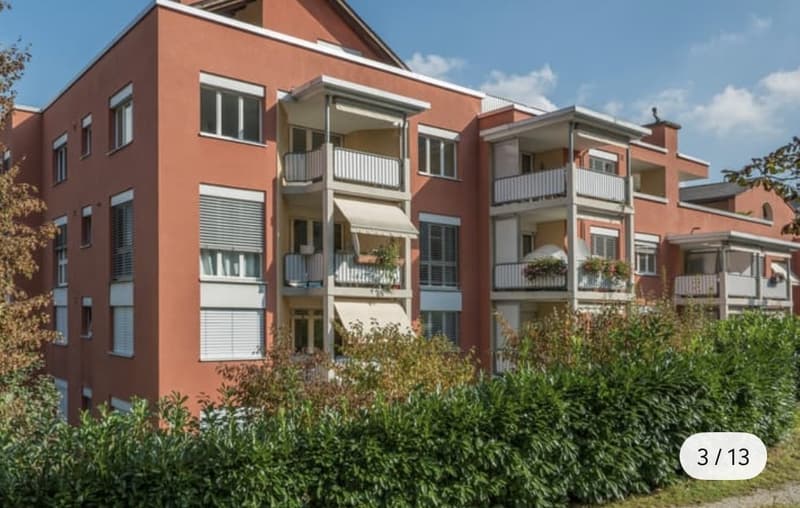 Wunderschöne Maisonettewohnung mit traumhafter Dachterrasse in Spreitenbach (2)