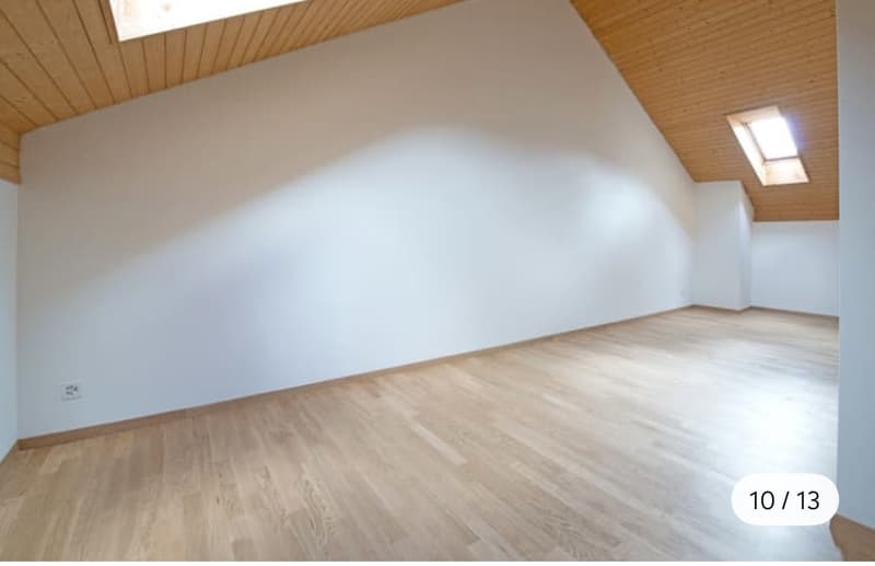 Wunderschöne Maisonettewohnung mit traumhafter Dachterrasse in Spreitenbach (6)
