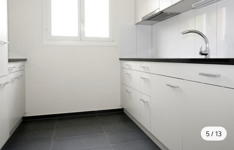 Wunderschöne Maisonettewohnung mit traumhafter Dachterrasse in Spreitenbach (8)