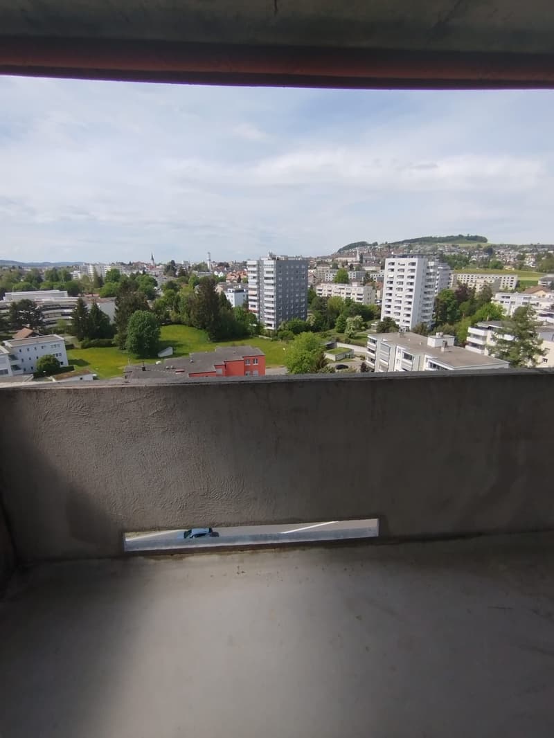 schöne helle 3 1/2 Zimmer Wohnung 12.Stock (9)
