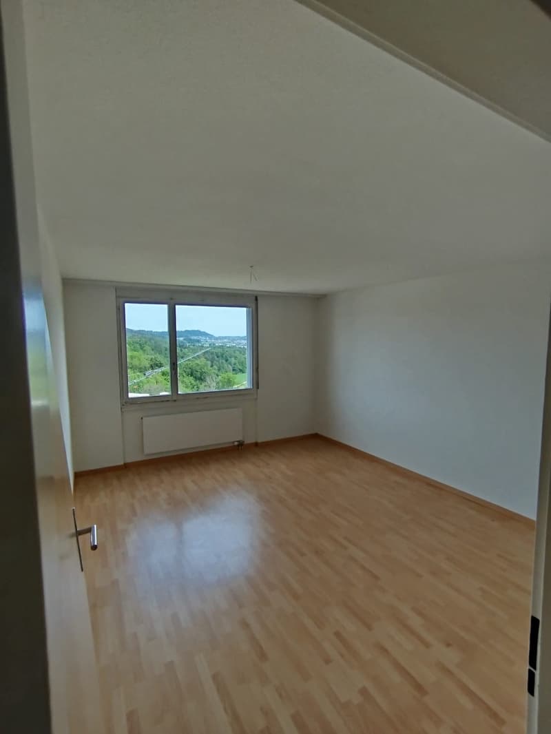 schöne helle 3 1/2 Zimmer Wohnung 12.Stock (3)