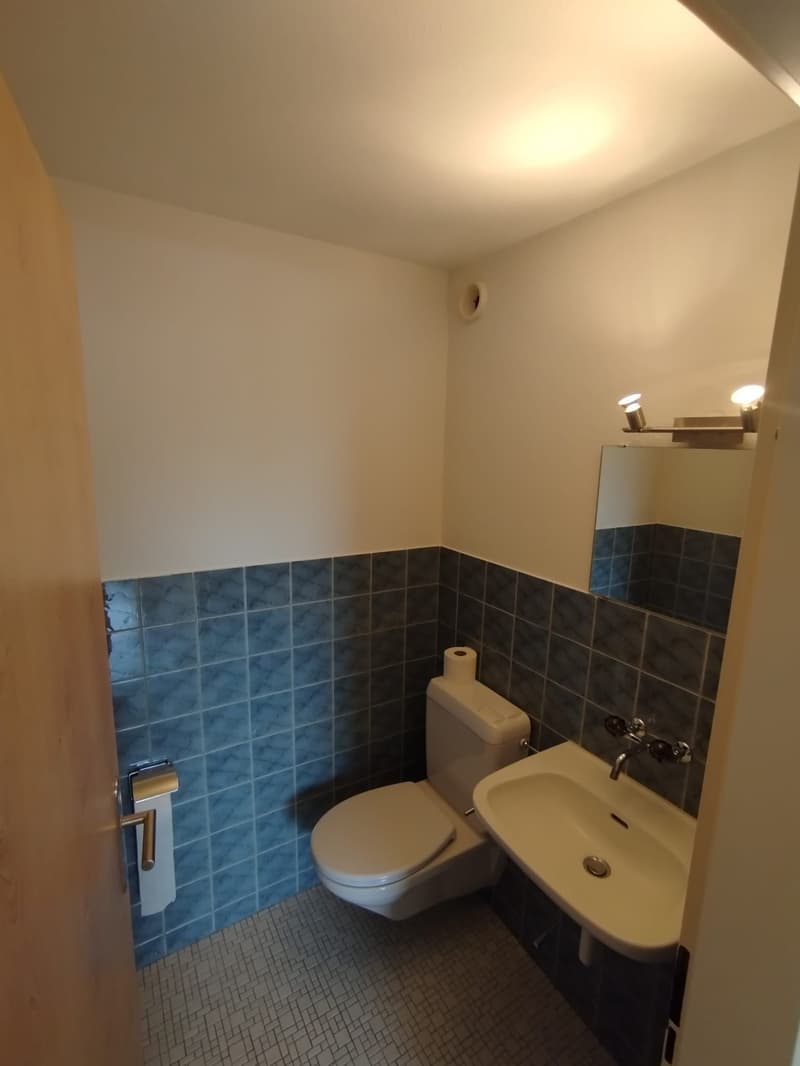 schöne helle 3 1/2 Zimmer Wohnung 12.Stock (6)