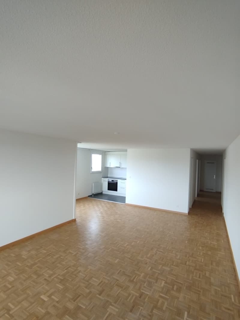 schöne helle 3 1/2 Zimmer Wohnung 12.Stock (5)