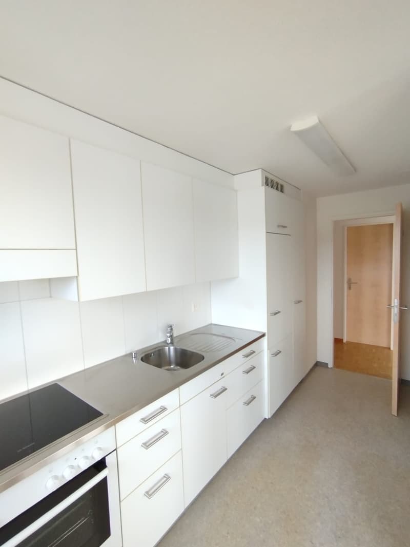 schöne helle 3 1/2 Zimmer Wohnung 12.Stock (1)