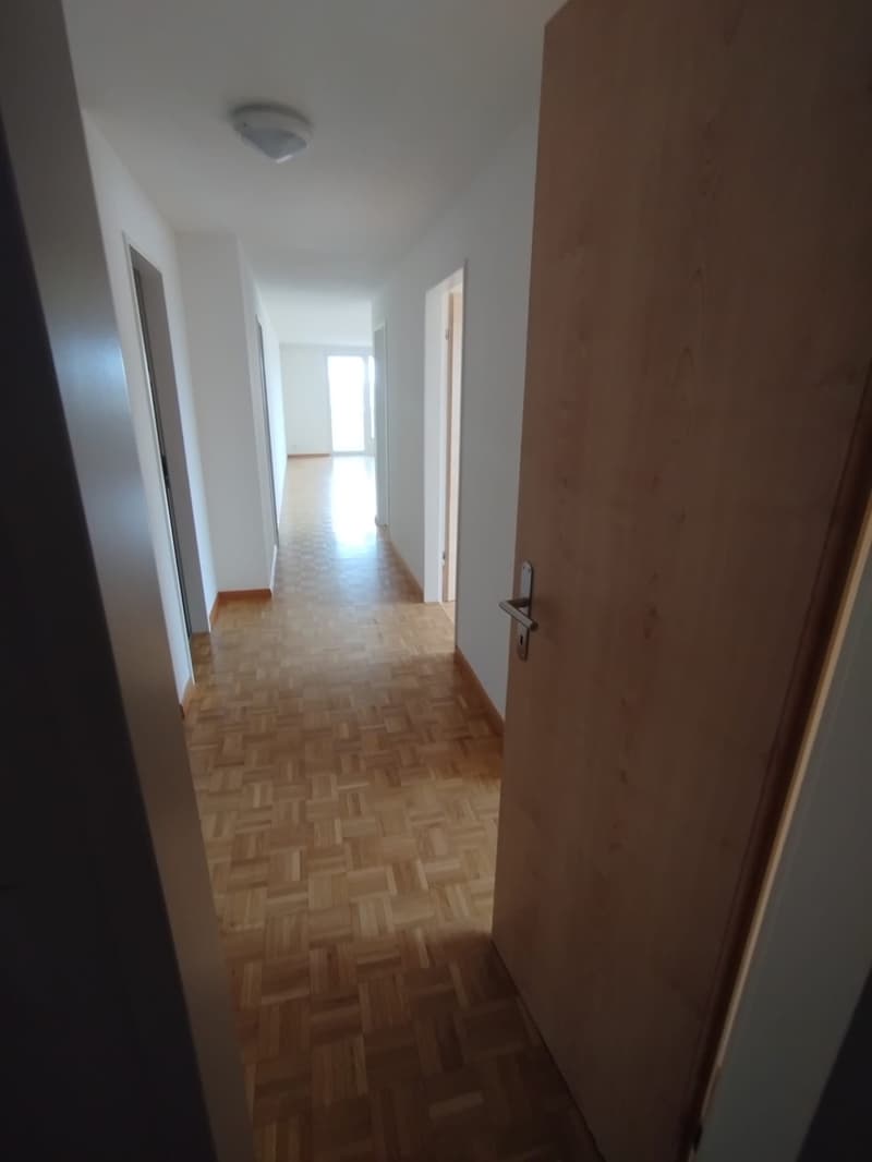 schöne helle 3 1/2 Zimmer Wohnung 12.Stock (2)