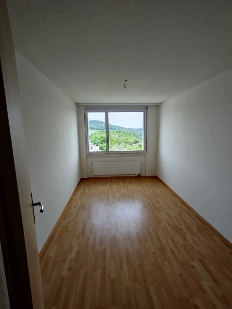 schöne helle 3 1/2 Zimmer Wohnung 12.Stock (4)