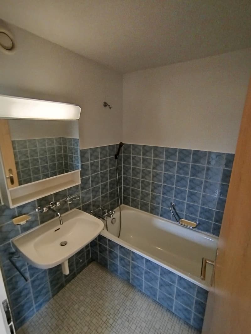 schöne helle 3 1/2 Zimmer Wohnung 12.Stock (7)