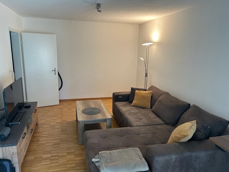 Helle und gepflegte 2.5-Zimmer-Wohnung mit grossem Balkon (3)