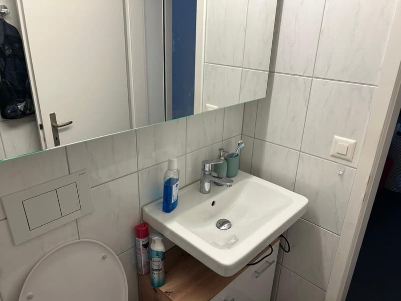 Helle und gepflegte 2.5-Zimmer-Wohnung mit grossem Balkon (10)