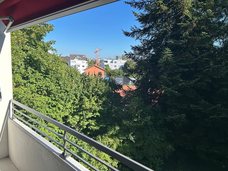 Helle und gepflegte 2.5-Zimmer-Wohnung mit grossem Balkon (2)
