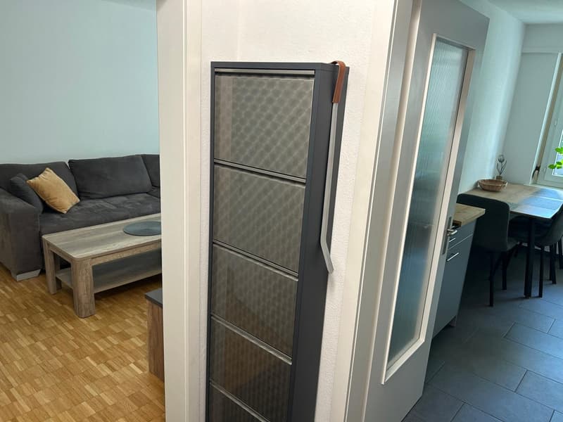 Helle und gepflegte 2.5-Zimmer-Wohnung mit grossem Balkon (8)