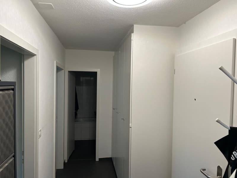 Helle und gepflegte 2.5-Zimmer-Wohnung mit grossem Balkon (7)