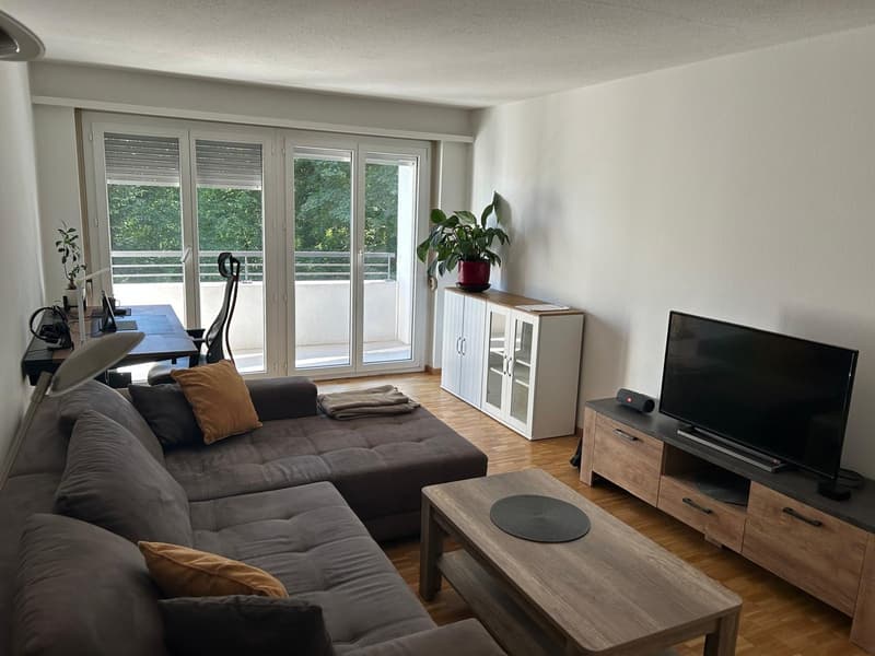 Helle und gepflegte 2.5-Zimmer-Wohnung mit grossem Balkon (1)